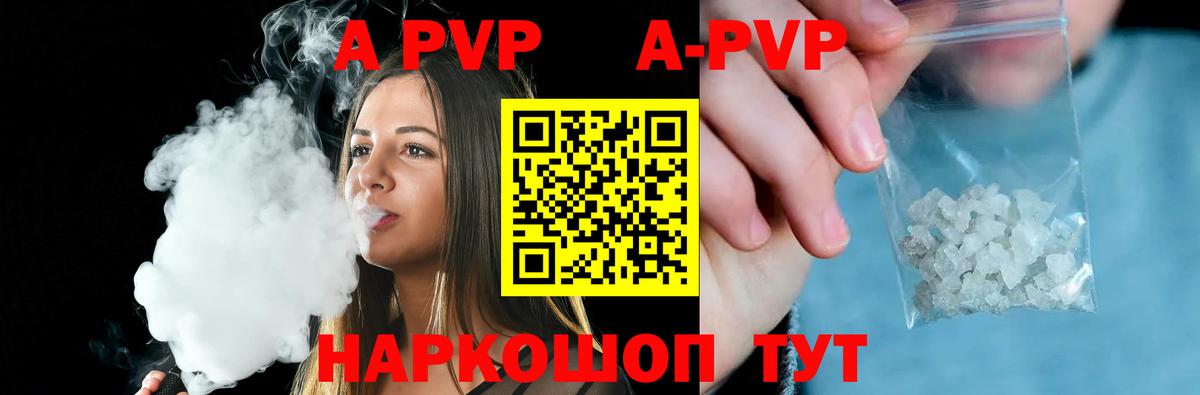 APVP СК Бердск