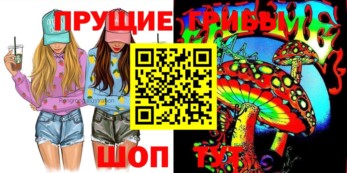 Бердск  Галлюциногенные грибы Psilocybine cubensis  Вход с VPN 